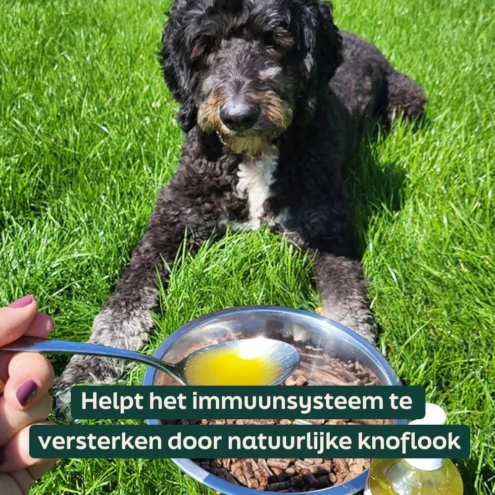 Lepel met knoflook olie voor de WOOOF brokken