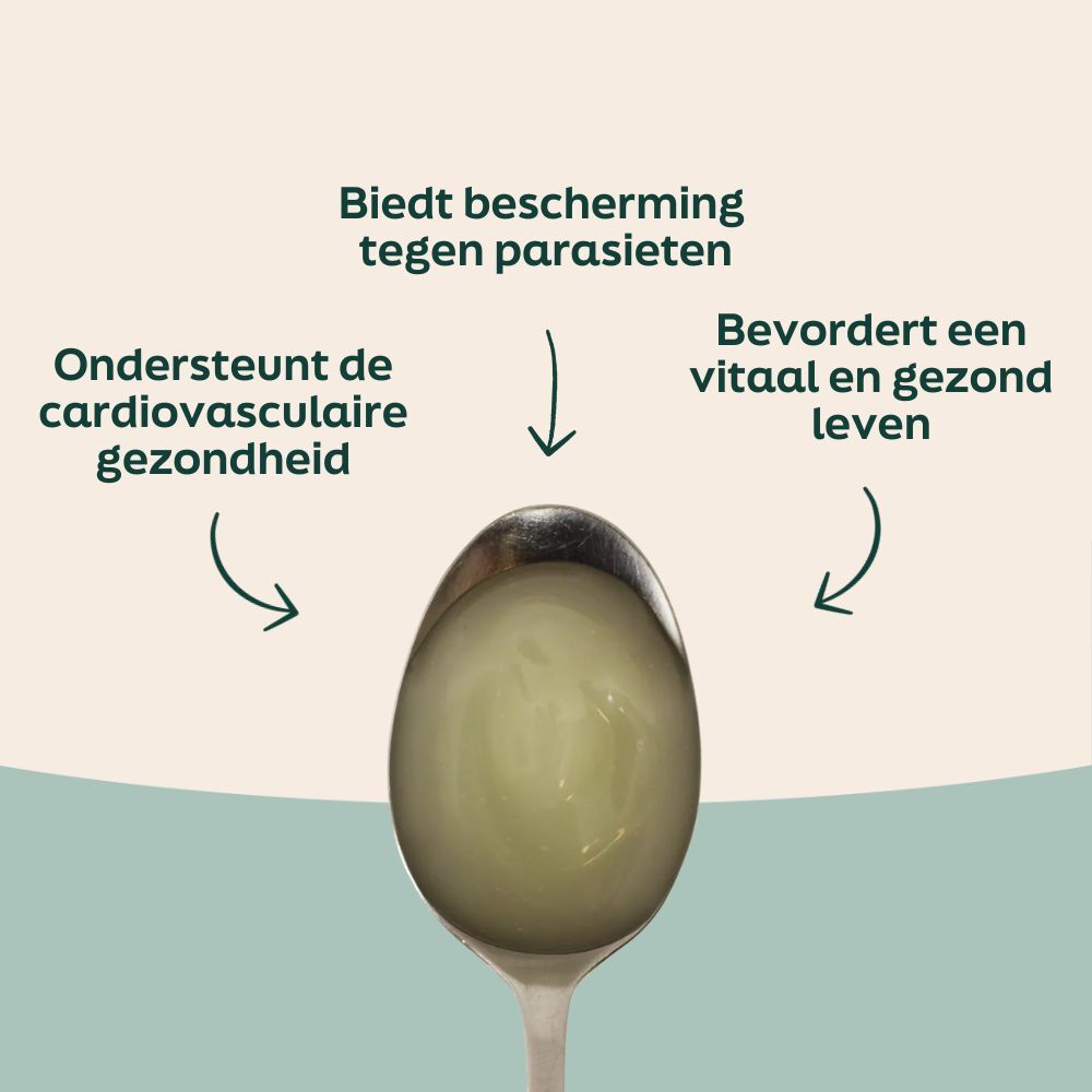 Voordelen van knoflook olie voor honden