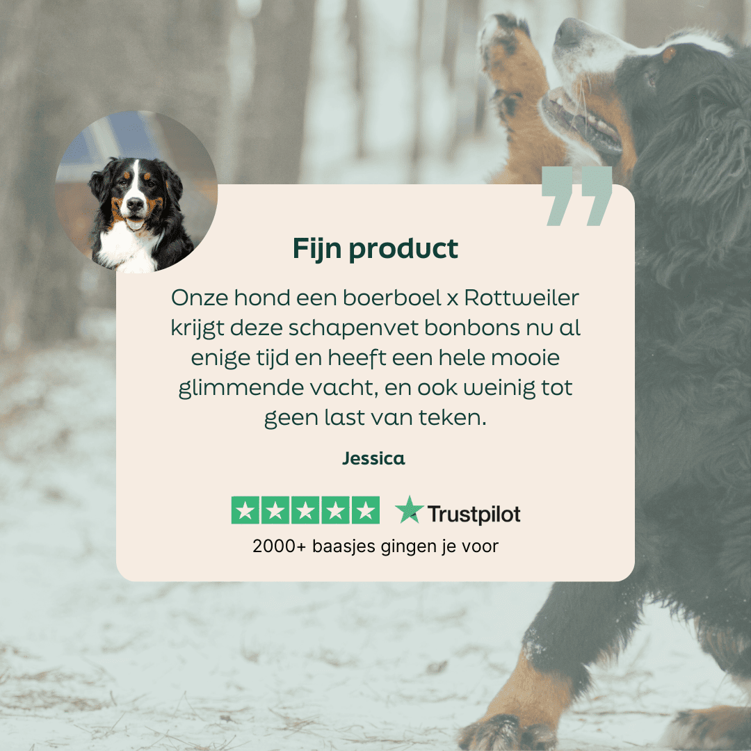 5 sterren review over WOOOF schapenvet met knoflook