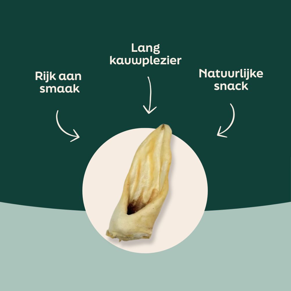Voordelen van lamsoren