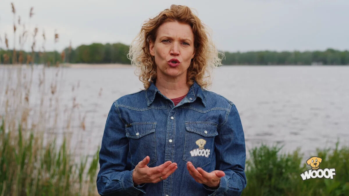 Video over hoe je huid en vacht problemen voorkomt