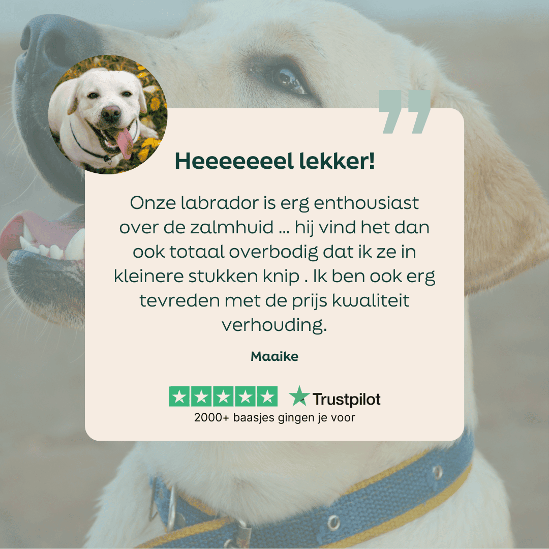 5 sterren review over WOOOF zalmhuid