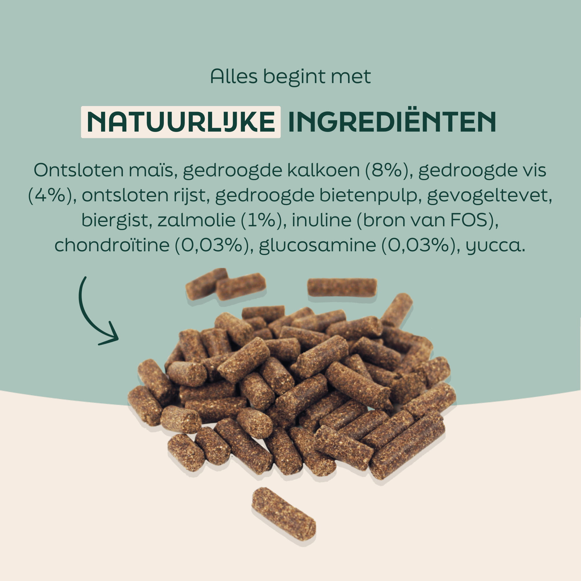hondenbrokken voor oudere honden natuurlijke ingrediënten