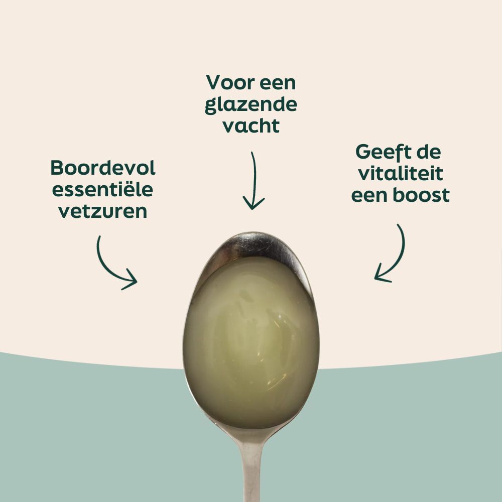 Voordelen van knoflook olie voor honden
