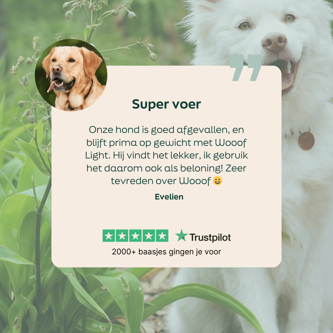 5 sterren review over WOOOF light