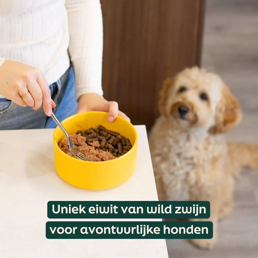 Honden worsten met uniek eiwit van wild zwijn
