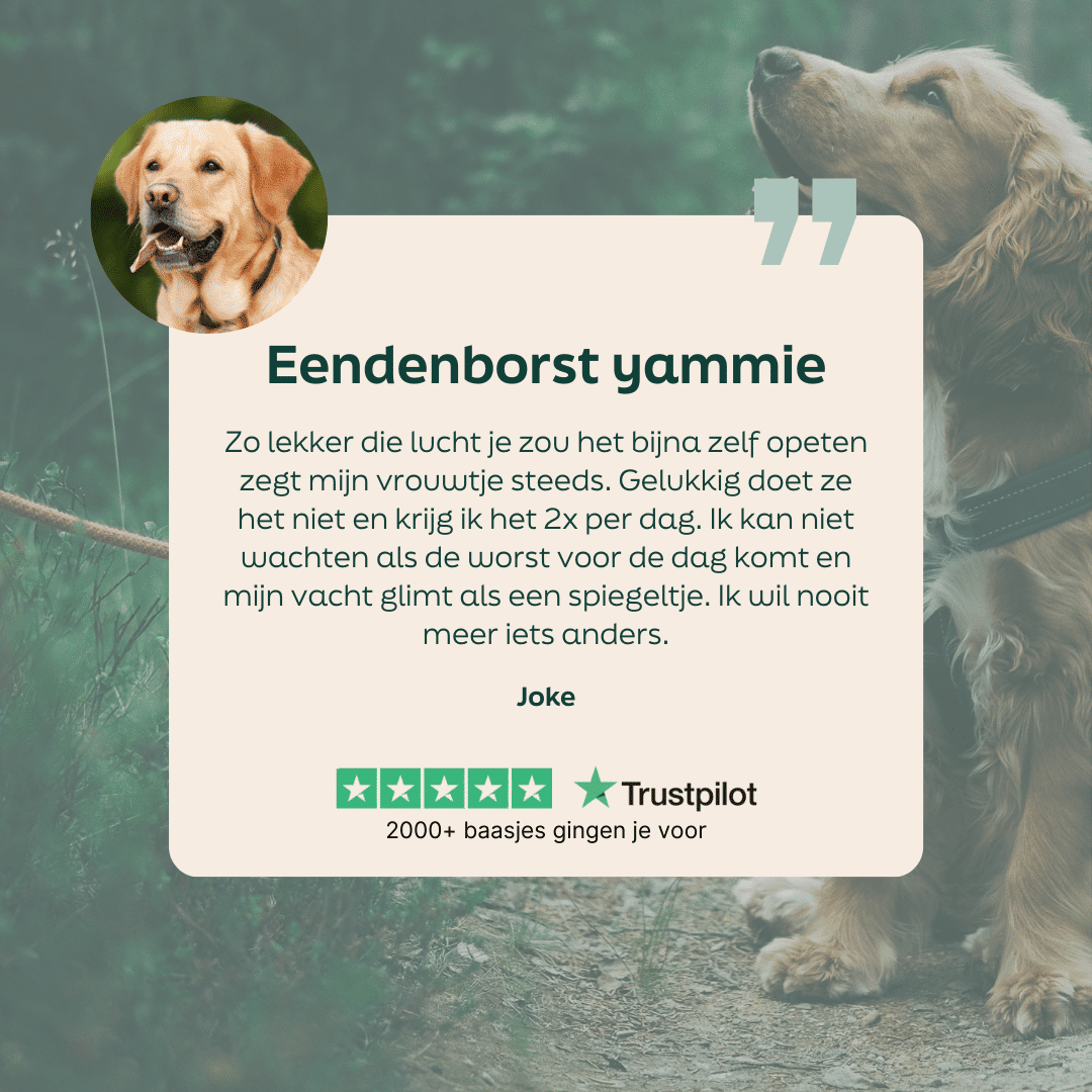 5 sterren review over WOOOF eend worst vers