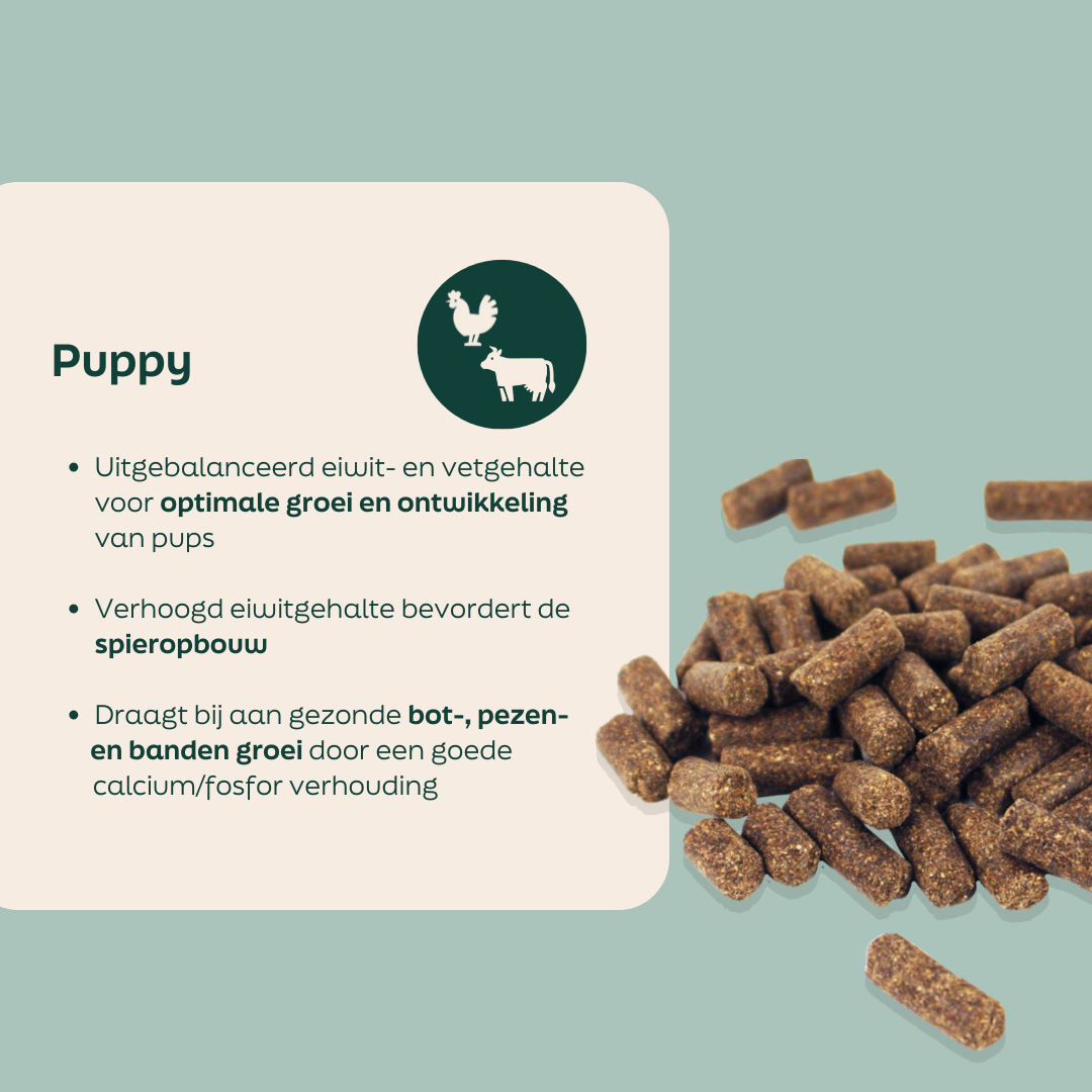 Ingrediënten in de WOOOF puppy
