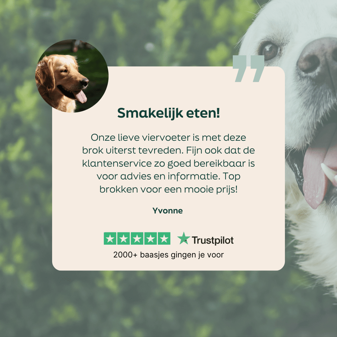 5 sterren review over WOOOF eend