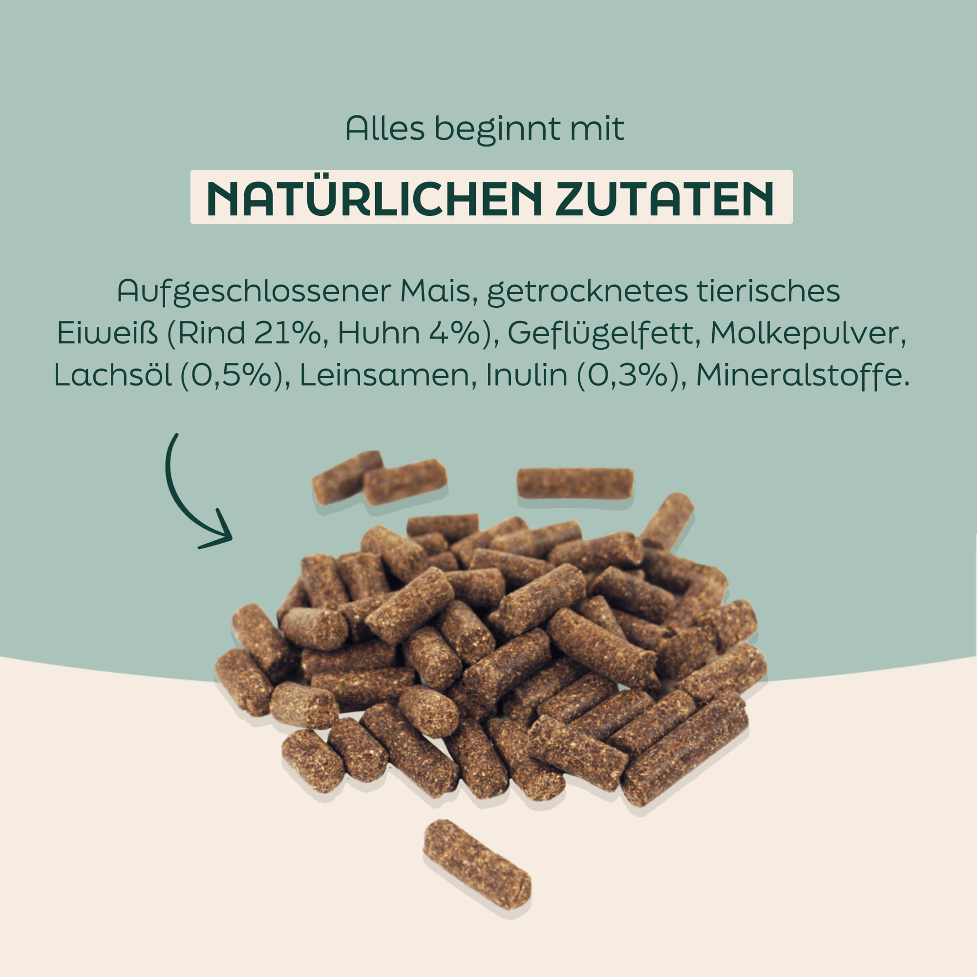 WOOOF Regular Hundefutter Zutaten
