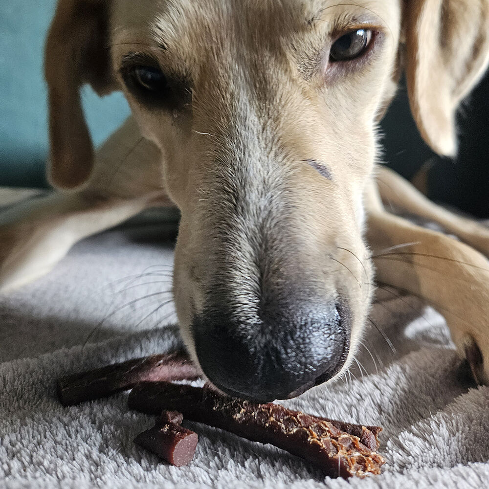 WOOOF Lamm sticks WOOOF Lamm sticks