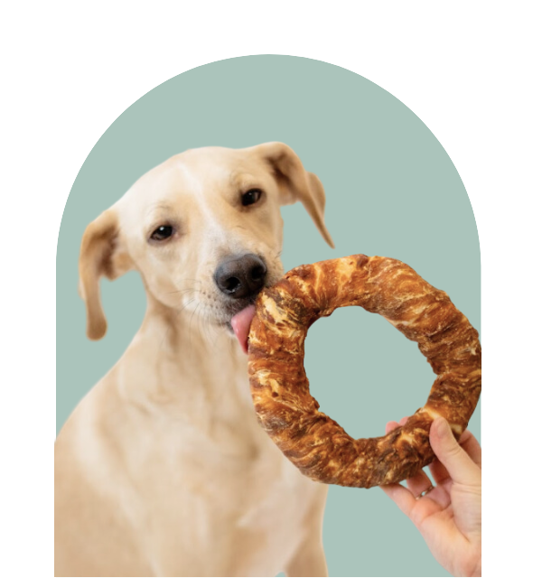 WOOOF Snacks für Hunde.