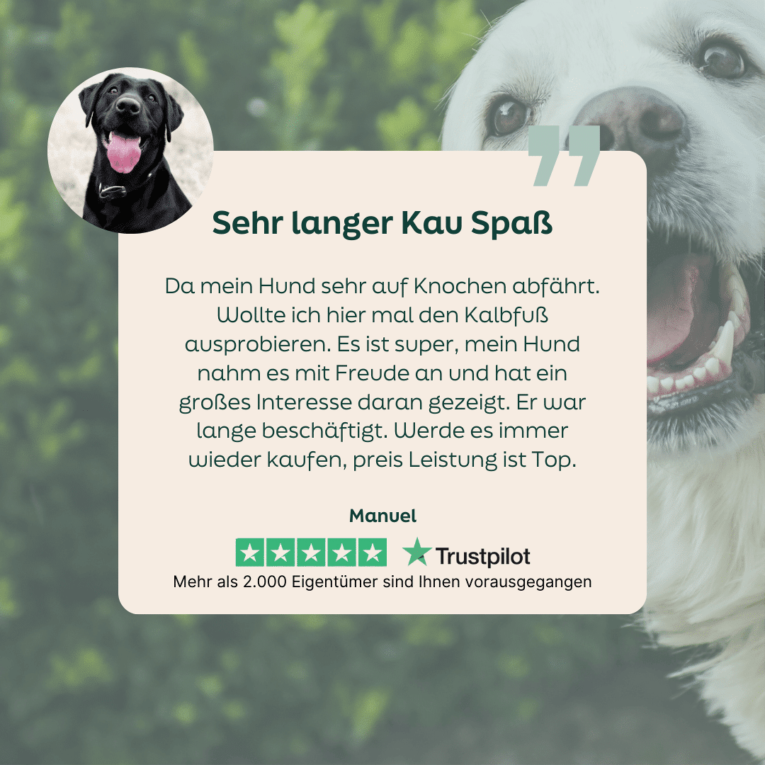 WOOOF Kalbsfuss 5-Sterne-Bewertung zu WOOOF Kalbspfote