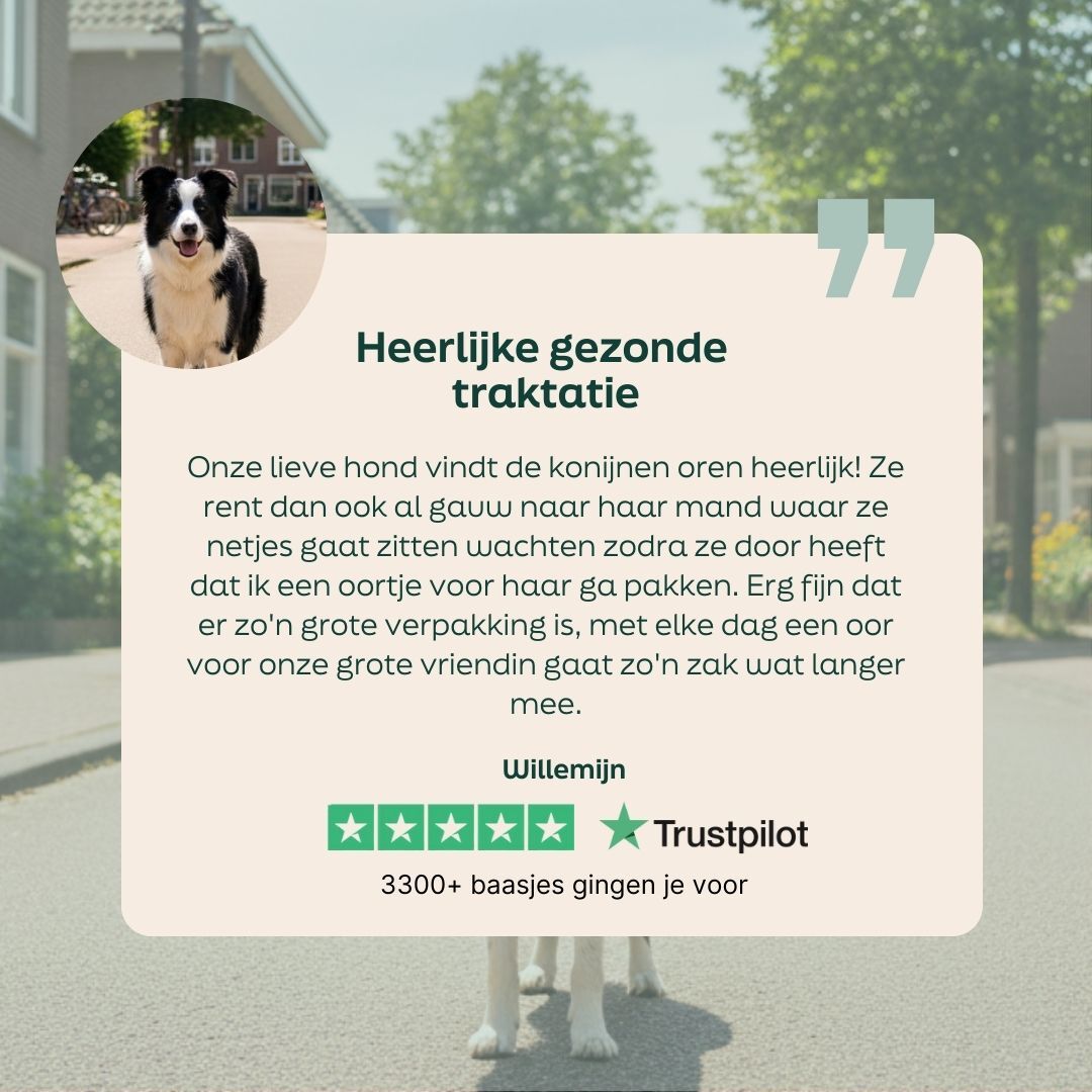 dier, huisdier, ?