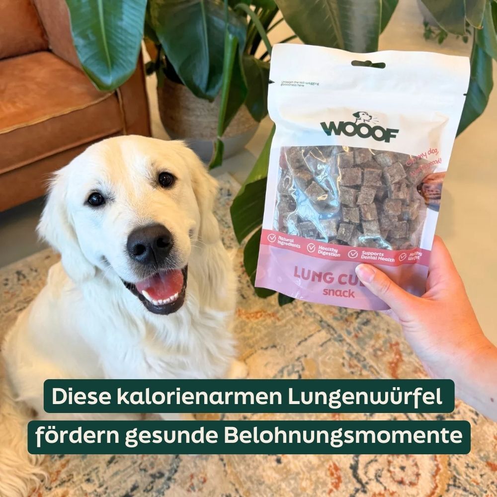 dog treats, dog snacks, liver treats, bone chews, soft chews
