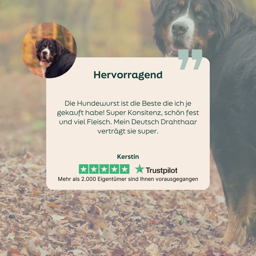 WOOOF Hühnerwurst Frisch