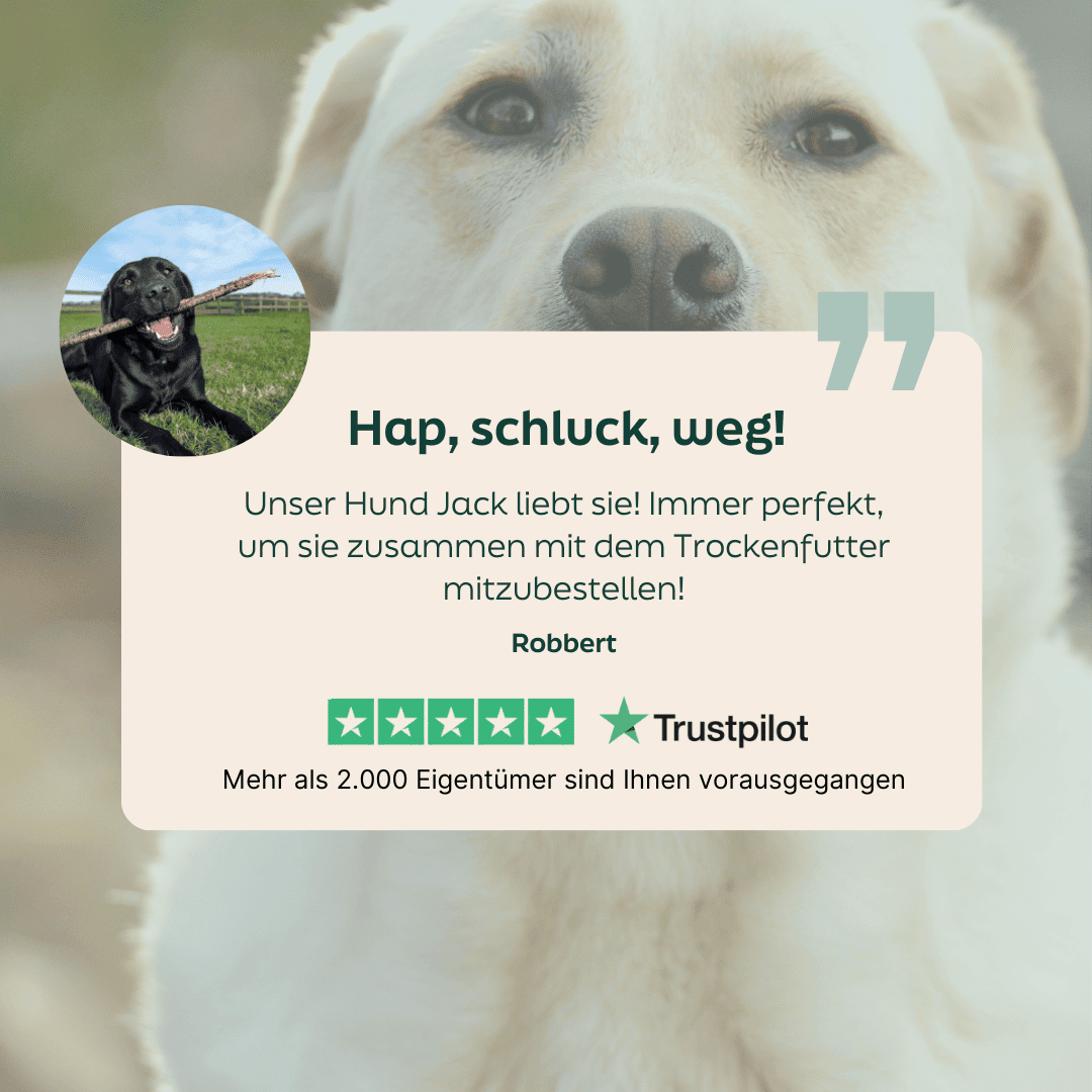 Sterne-Bewertung für die WOOOF Schweineohren