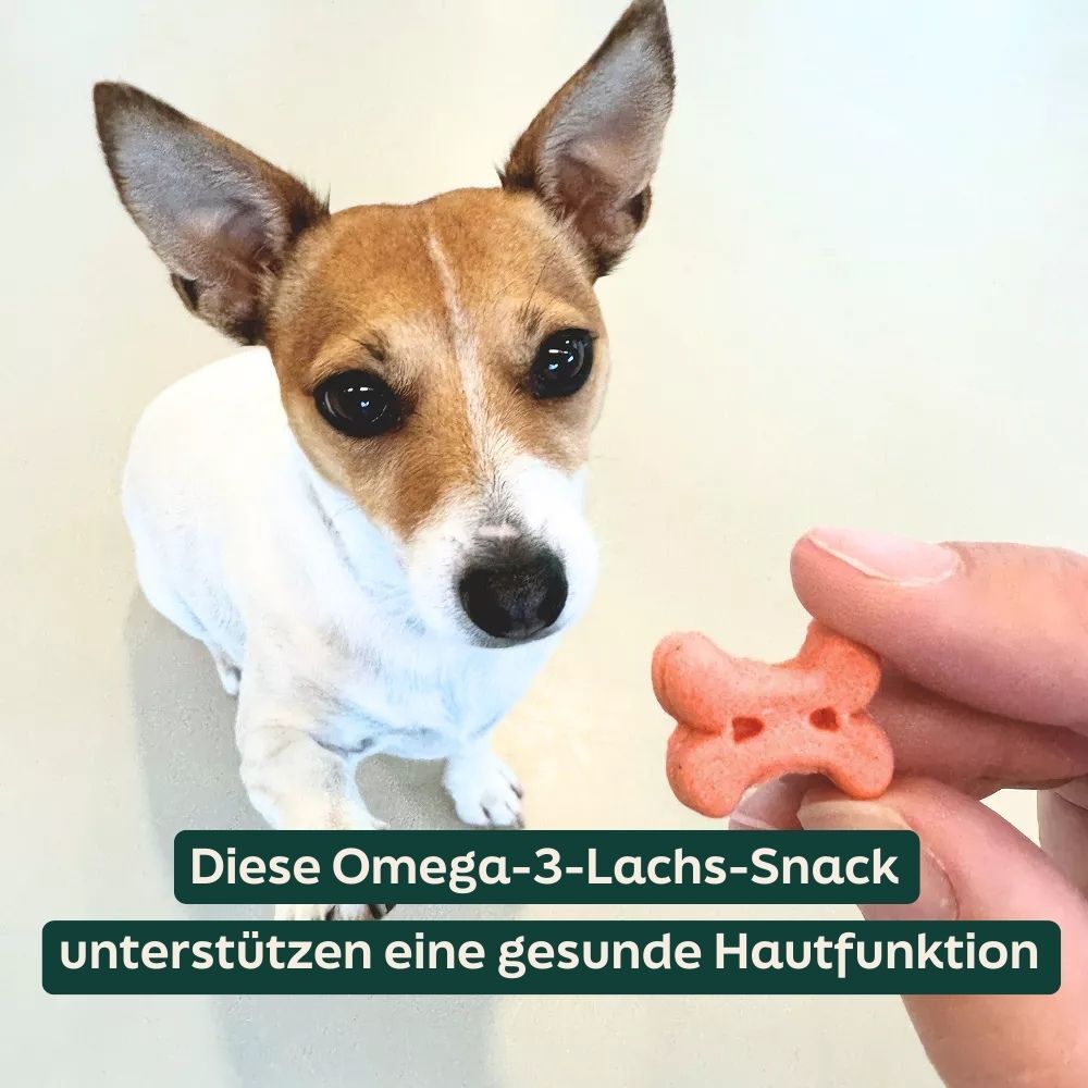 dog, pet treat, bone snack, pink bone, omega-3