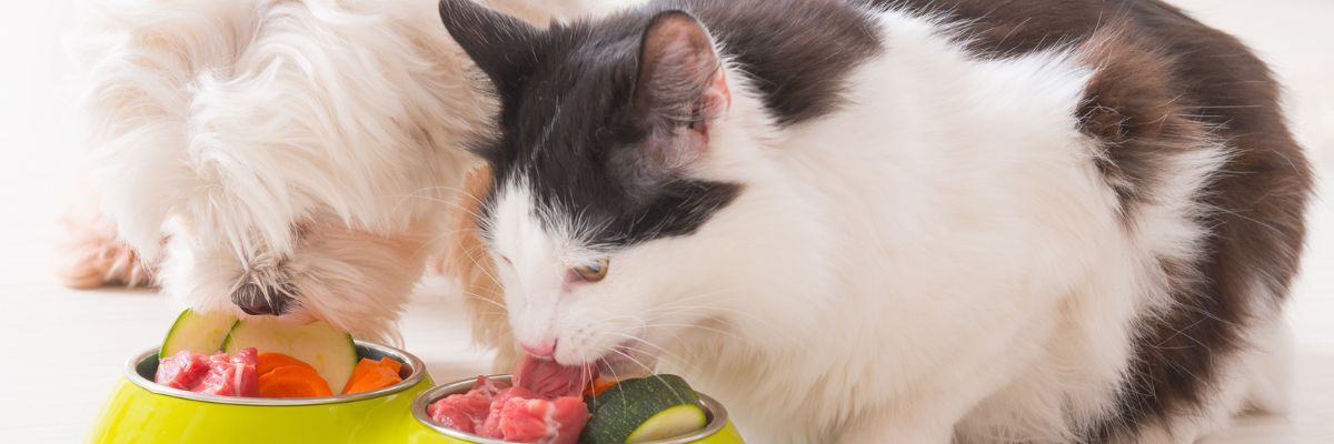 Die Vorteile von getreidefreiem Hunde- und Katzenfutter