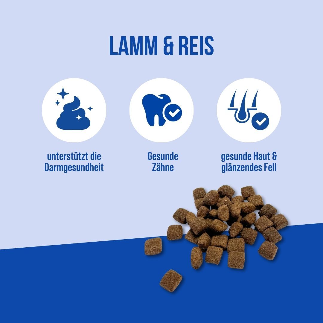 Adult Lamm & Reis | 18KG