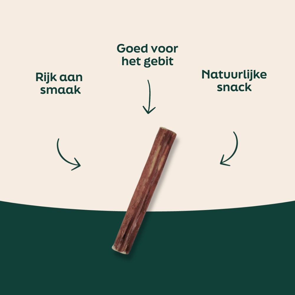 kaneelstok, stok, kruid, kaneel, snack