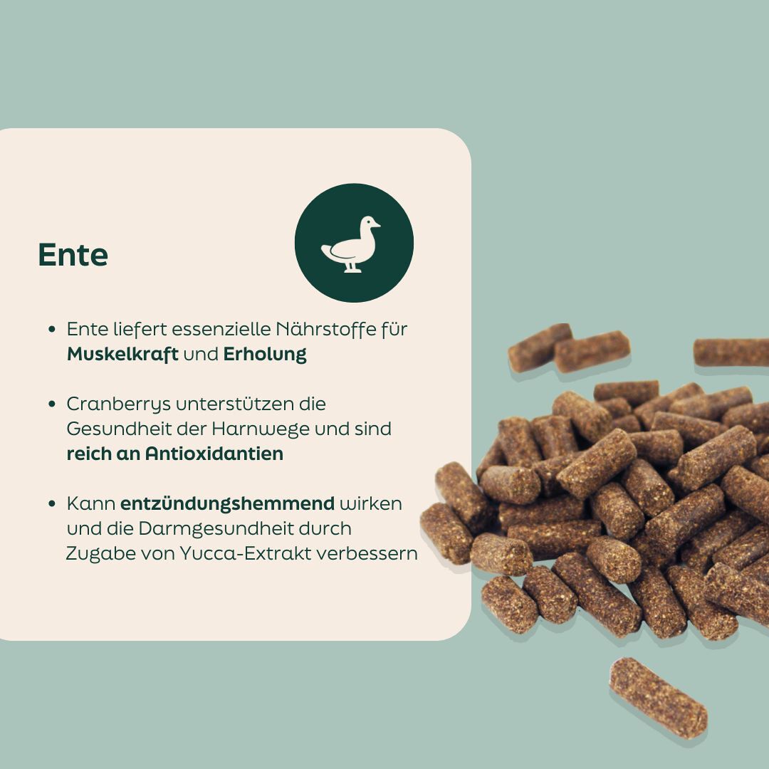 WOOOF Ente Hundefutter Zutaten in WOOOF ente