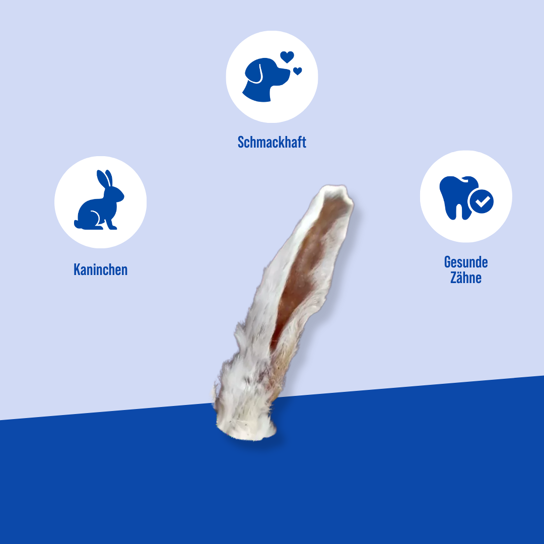 Kaninchenohren mit Fell Die Vorteile der Hayes Brothers snack Kaninchenohren