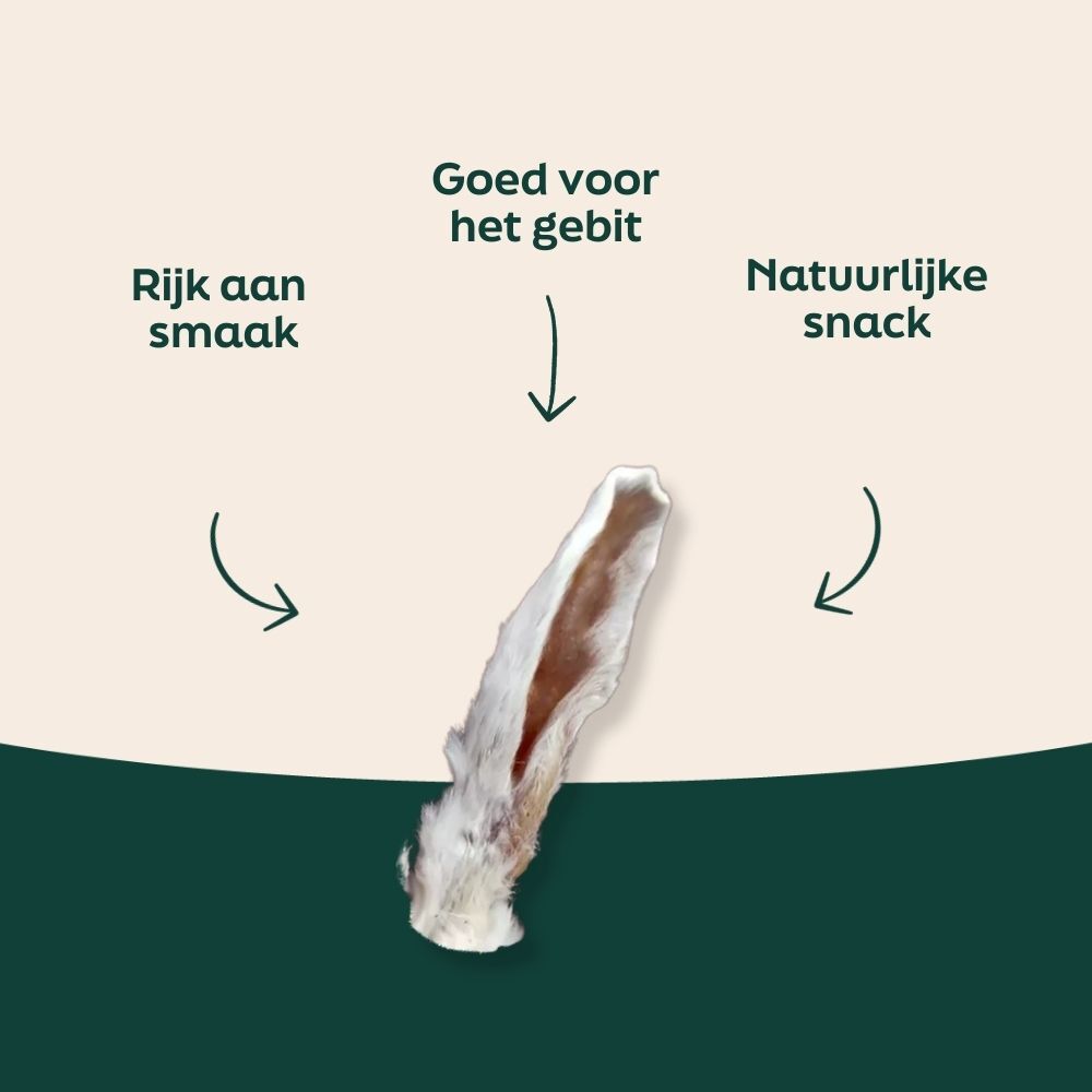 botten, botfragment, rauw bot, snacks, natuurlijke waarde