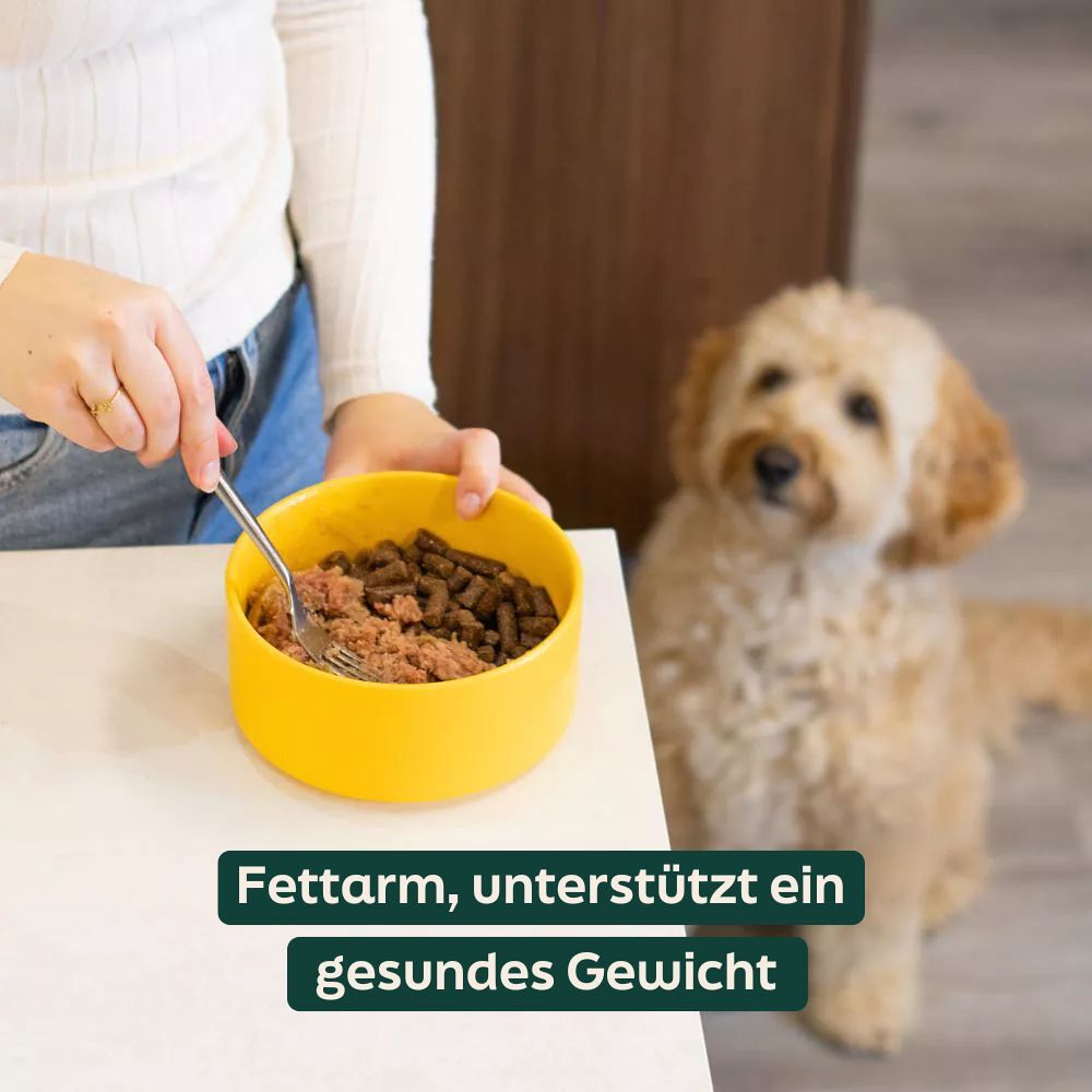 WOOOF Hirsch- und Hühnerwurst Frisch Würste mit geringem Fettgehalt für ein gesundes Gewicht