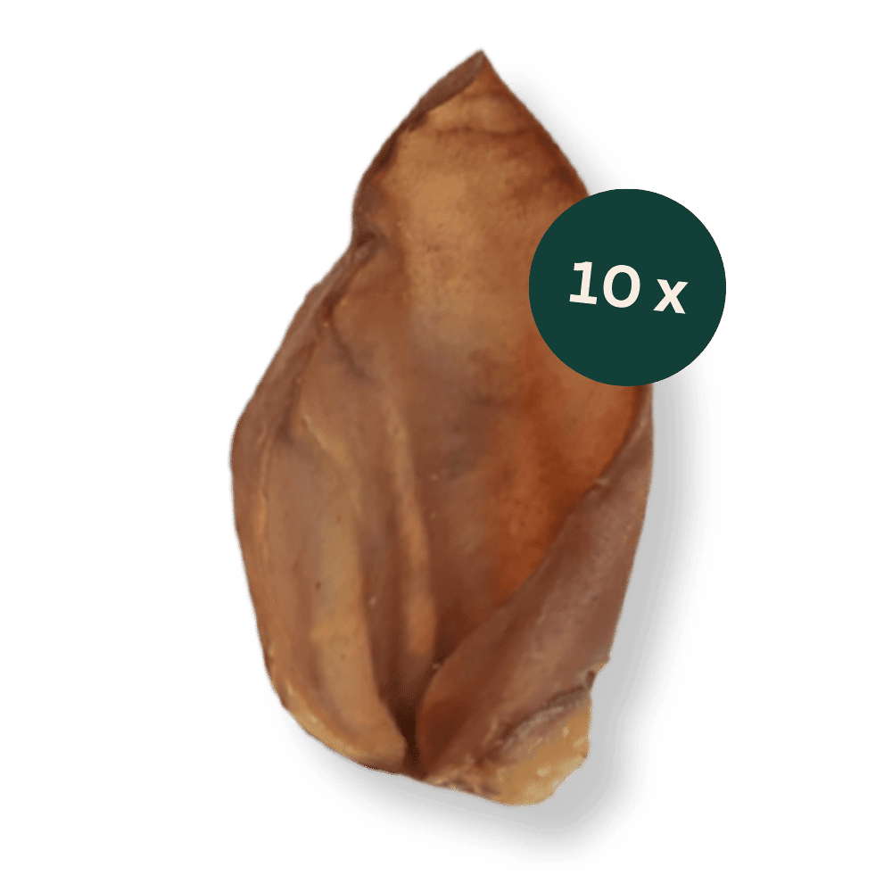 WOOOF Getrocknete Schweineohren Schweineohren 10 Stück