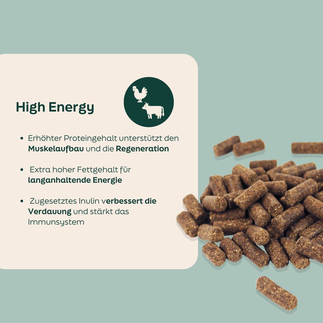 WOOOF High-Energy Hundefutter Zutaten in WOOOF high energy