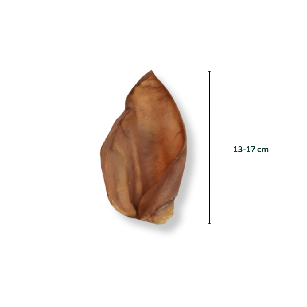 Getrocknete Schweineohren Schweineohr 13–17 cm