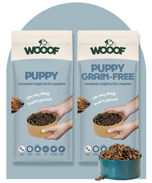 puppybrokken hondenvoer voor puppy's