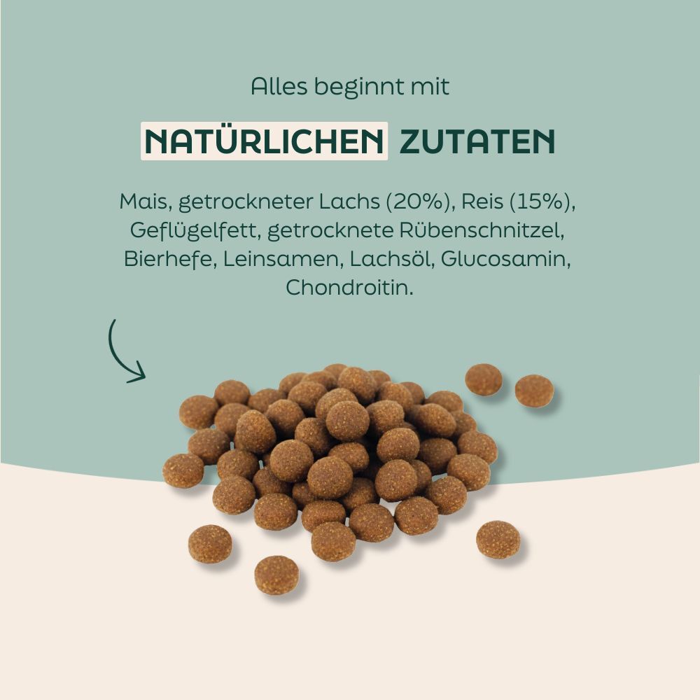 cat snack, dog treat, kibble, brown pellets, pellets