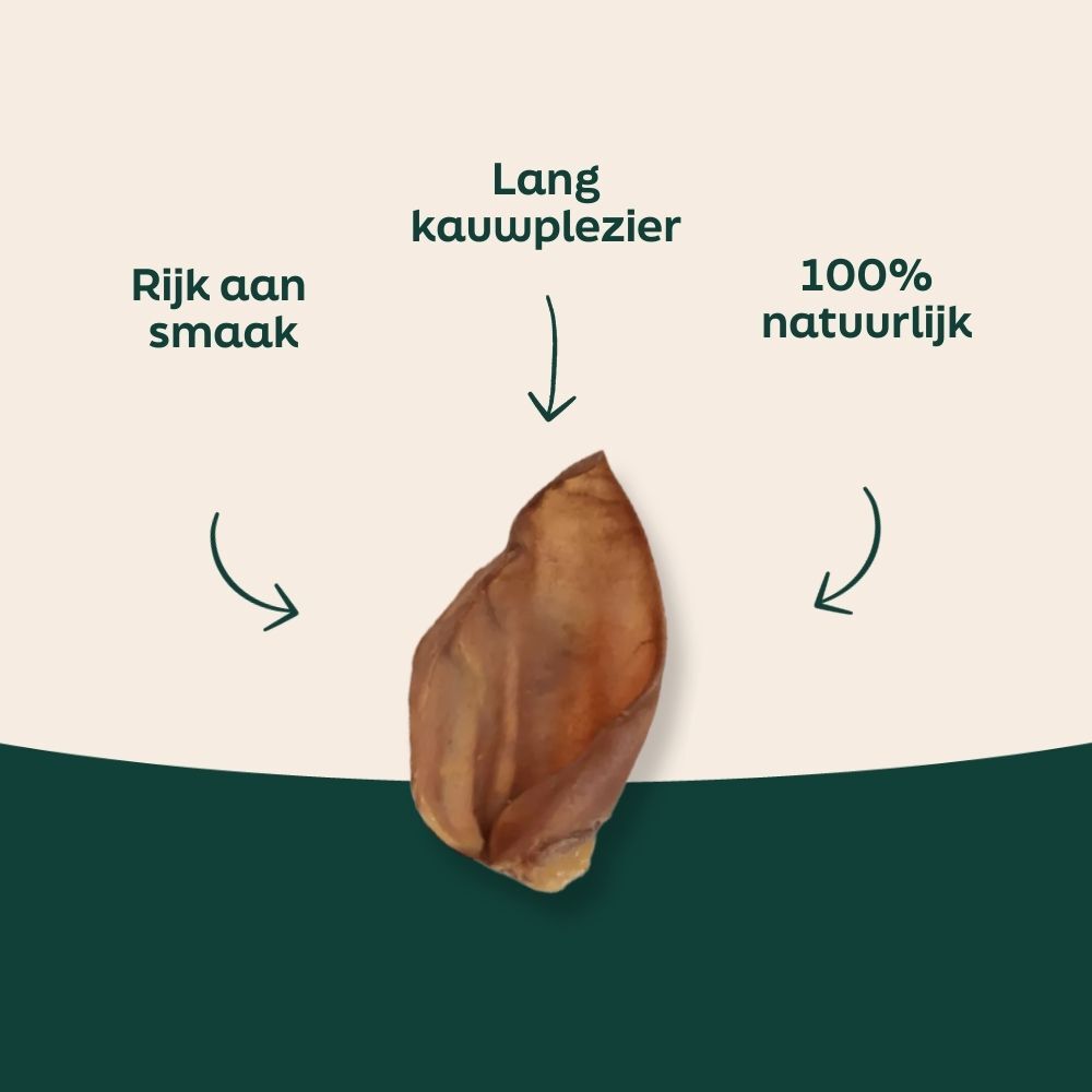 snack, noot, pistache,  schelp, geroosterd