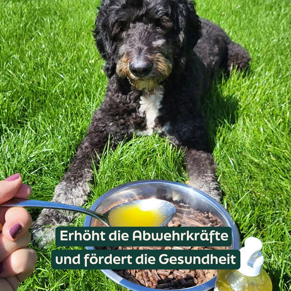 WOOOF Schafsfett  & Hanfsamenöl Ein Löffel Hanfsamenöl über das WOOOF Trockenfutter