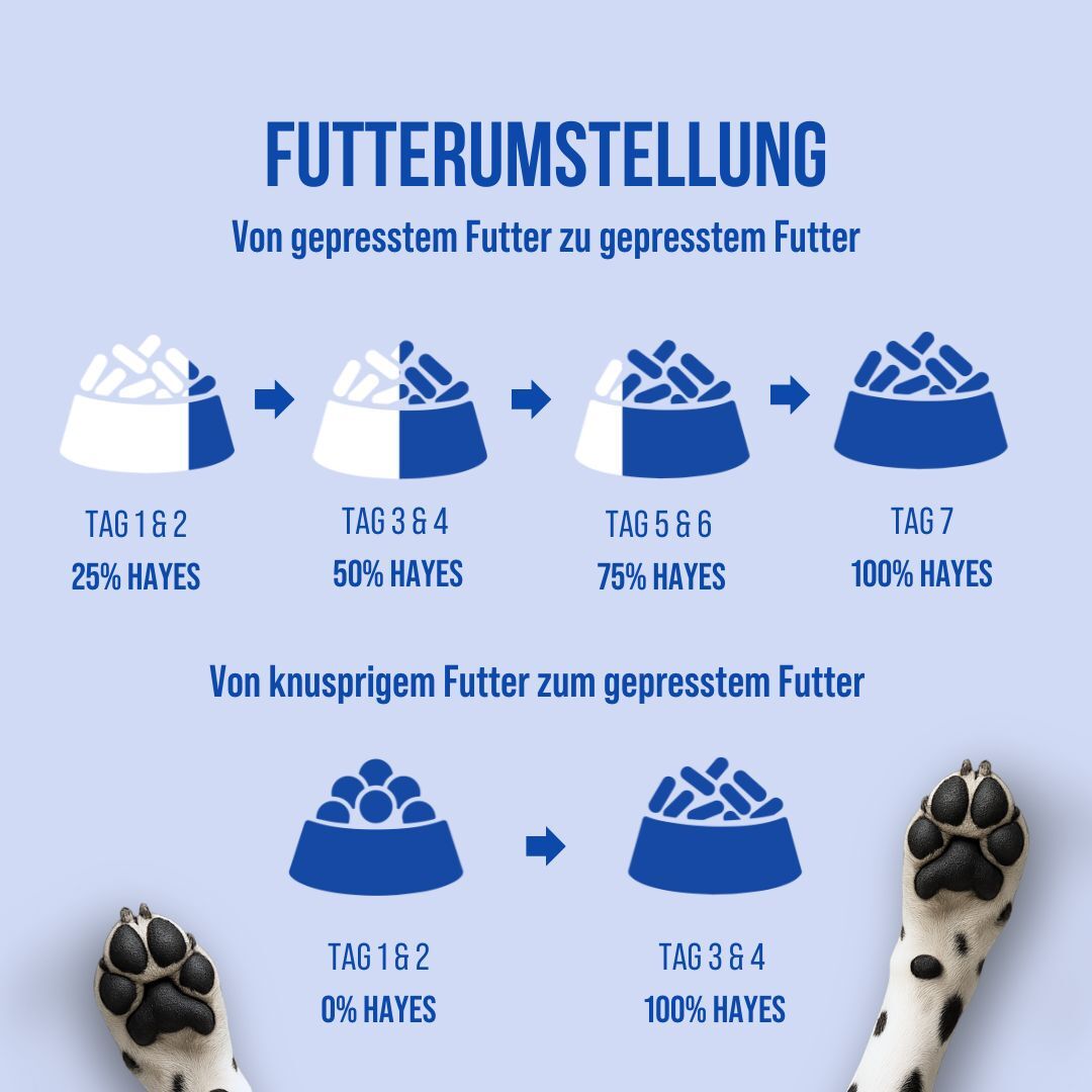 Umstiegsplan auf ein gepresstes Futter