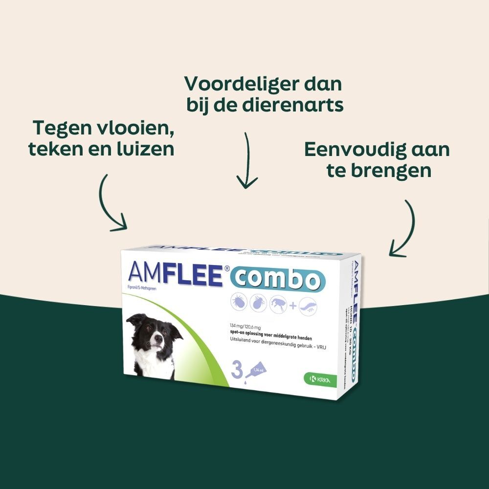 hond medicijnen, dierenarts, tongverdeling, doos, amflee combo