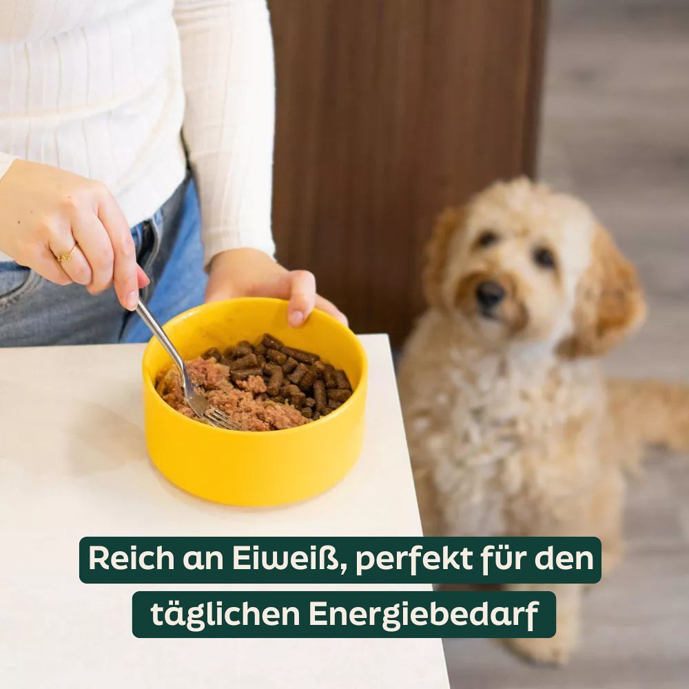 WOOOF Hühnerwurst Frisch Würste mit geringem Fettgehalt für ein gesundes Gewicht