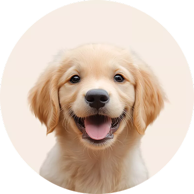 WOOOF - Puppy hondenvoer - levensfase puppy