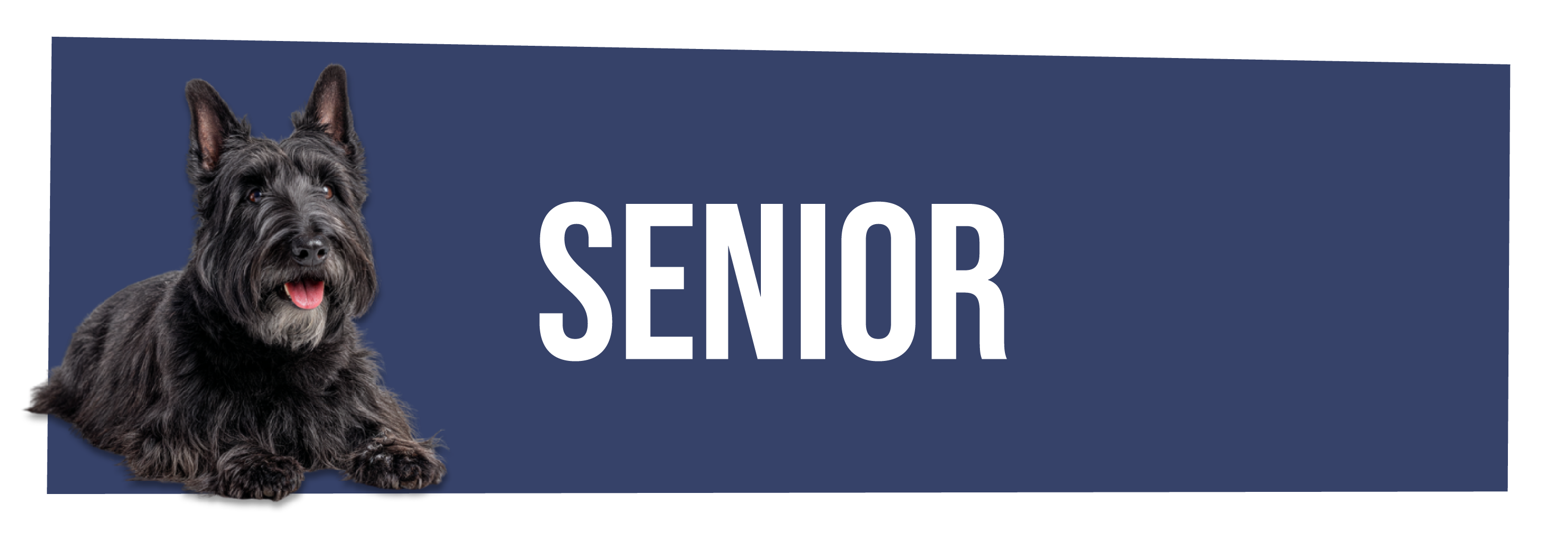 Senior hondenvoer