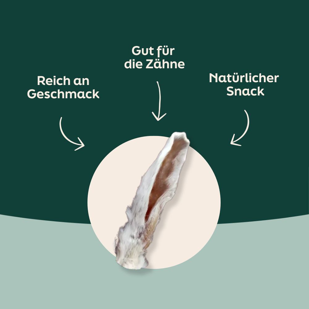 WOOOF Kaninchenohren mit Fell Vorteile von Kaninchenohren