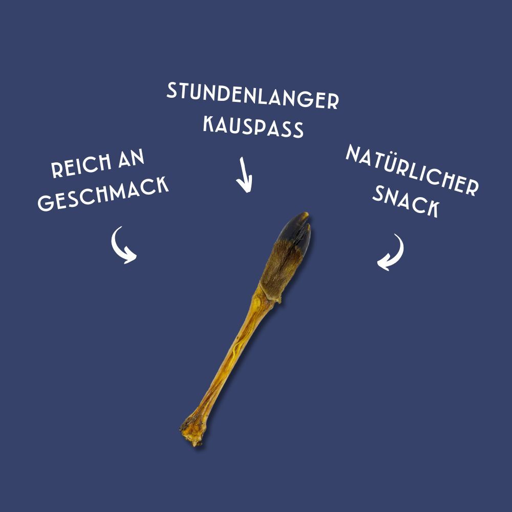 Hundesnack von Hayes Brothers – getrocknete Hirschpfote, naturbelassener Kauartikel mit Fell.