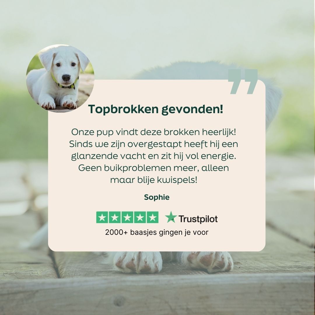 5 sterren review puppy graanvrij hondenvoer