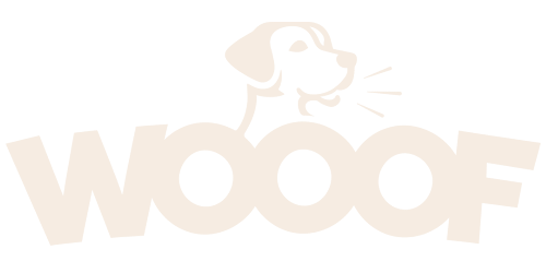 Naar de startpagina