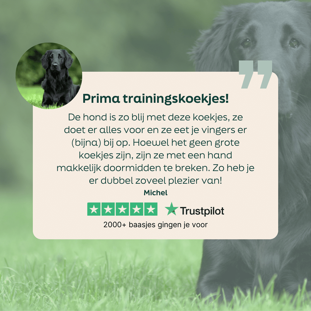 WOOOF oven-baked koektrainers 5 sterren review over oven baked koektrainers