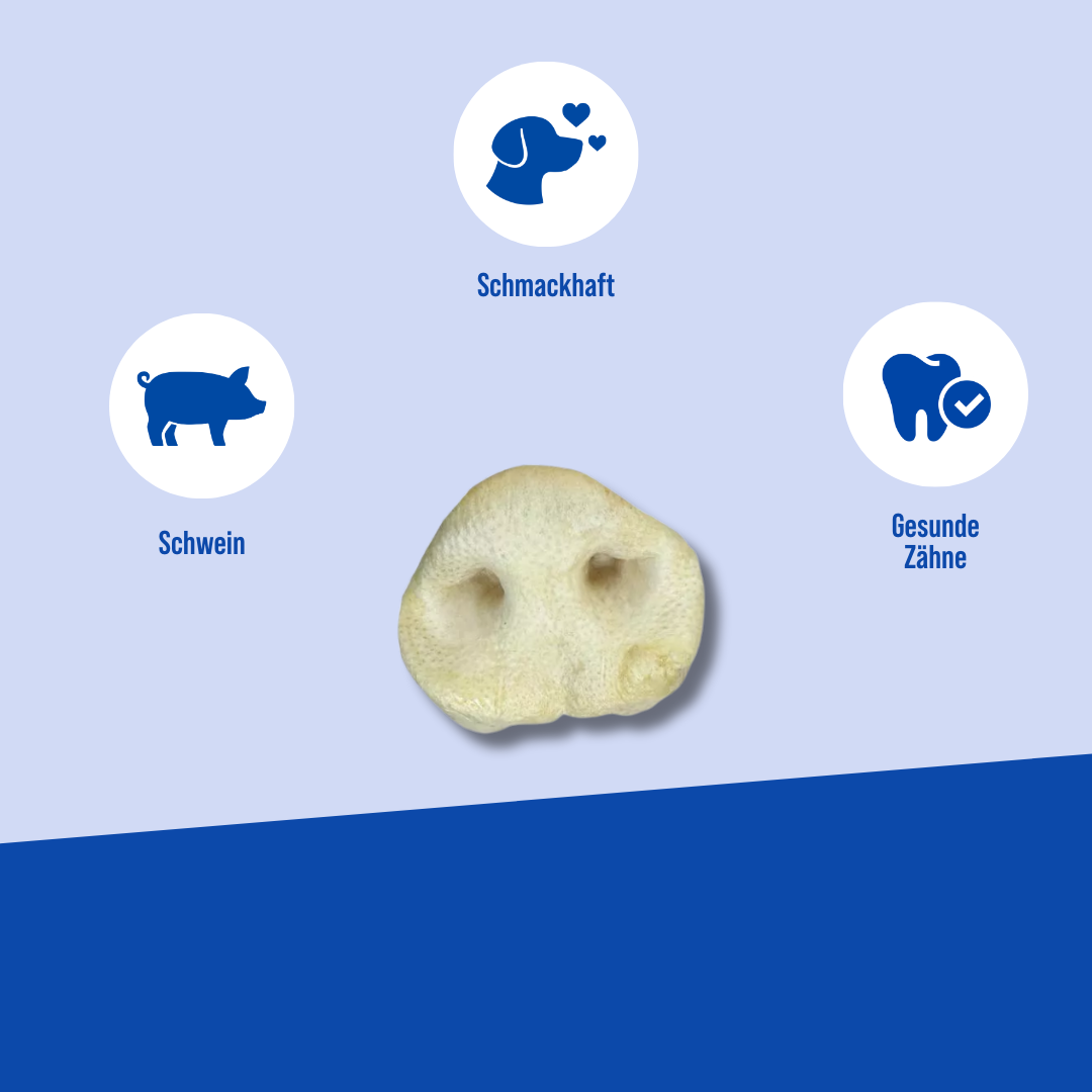 Die Vorteile der Hayes Brothers snack Schweinsnase