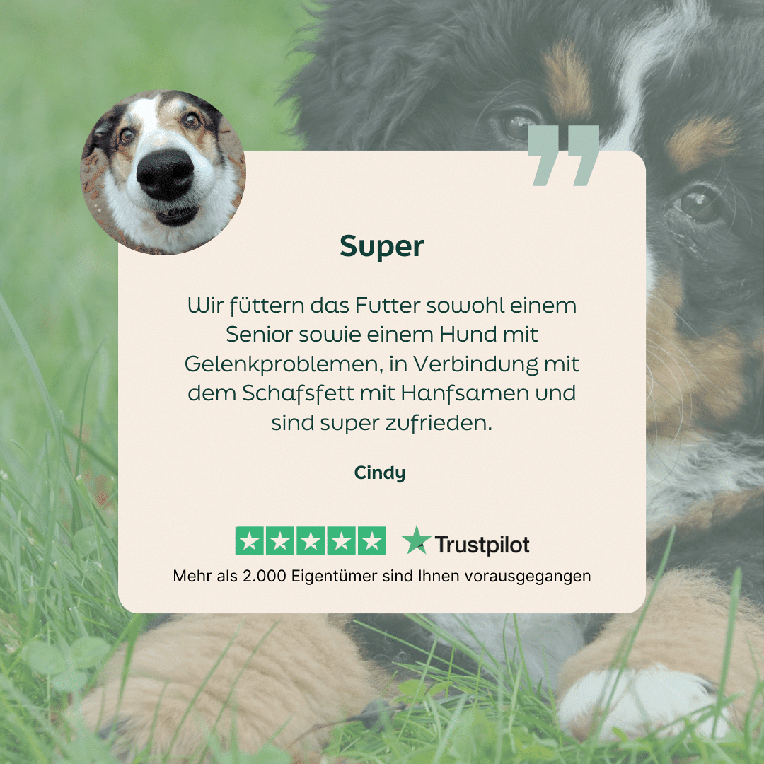WOOOF Senior Hundefutter 5-Sterne-Bewertung zu WOOOF Senior