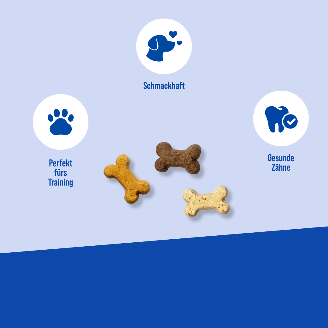 Die Vorteile der Hayes Brothers snack Trainingskekse