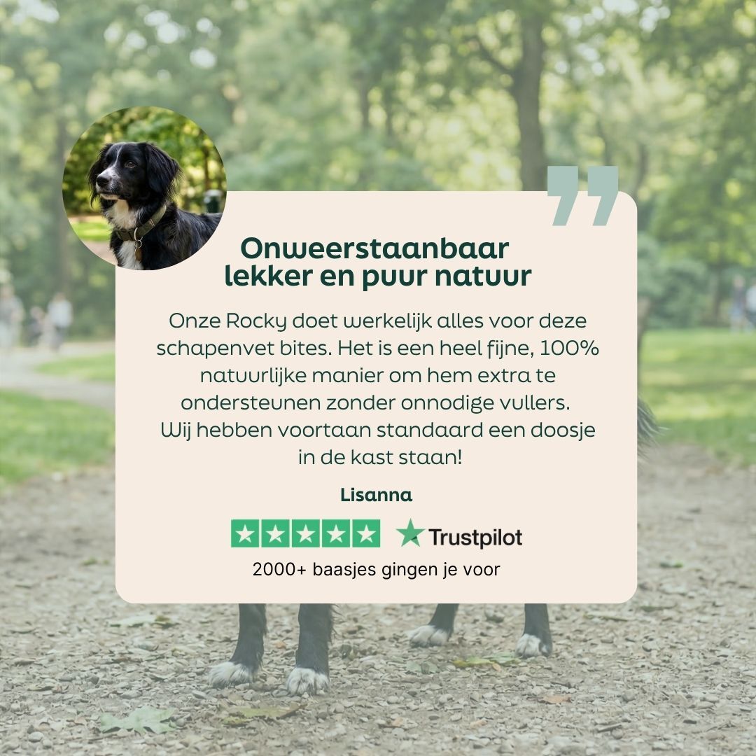 Review van de schapenvet bites met zalmolie